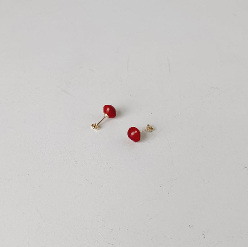 BOTANICAL EARRINGS : ADENANTHERA PAVONINA - ピアス